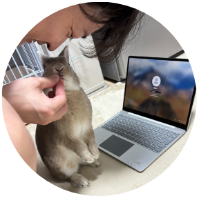 ペットのうさぎの画像